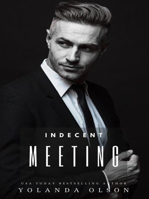 cover image of Indecent Meeting